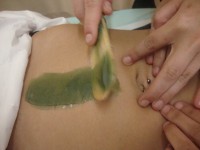 /album/fotogaleria-fotogaleria/dsc02485-jpg/