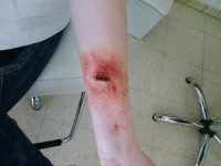 /album/fotogaleria-fotogaleria/negrita0015-001-jpg/