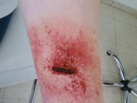 /album/fotogaleria-fotogaleria/negrita0016-001-jpg/